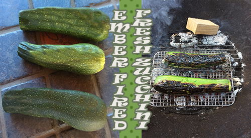 Zucchini is a great vegetable to not only grill but ember cook. It has the density to hold up over the high heat. Add a distinct char taste to this abundant vegetable either as a side dish or an ingredient by making ember fired fresh zucchini.