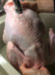 Preparing the Turkey