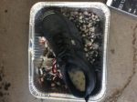 shoe on the hot embers
