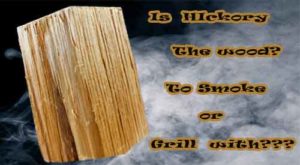 Our Hickory double filet is great for most smoking or grilling equipment - So YES-HICKORY THE WOOD TO SMOKE!