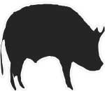 pig or pork image